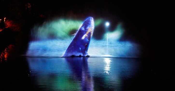 Mysticète - the 3D projection of a Baleen whale at Lumiere